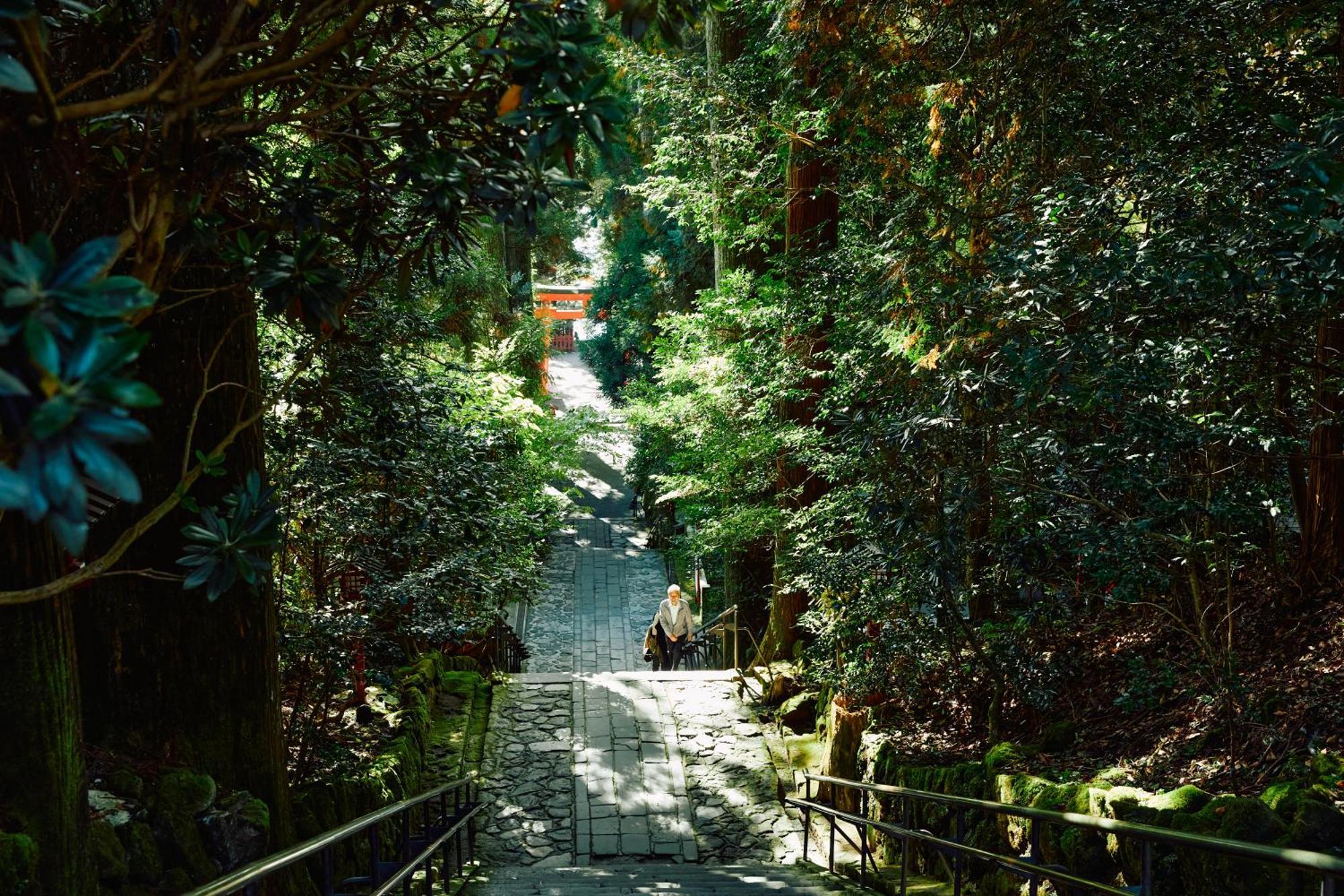 Villa Hakone Kabuto 古民家旅館 150平米 バス停迄一分 準天然温泉 最大12名 Eksteriør bilde
