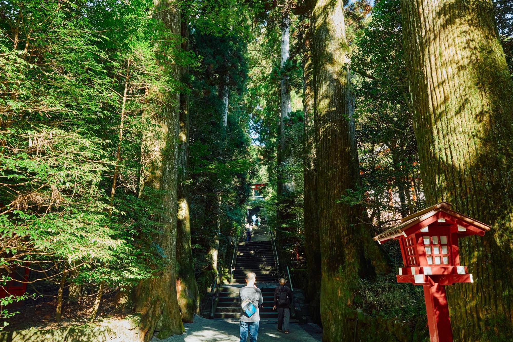 Villa Hakone Kabuto 古民家旅館 150平米 バス停迄一分 準天然温泉 最大12名 Eksteriør bilde